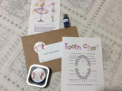 Boys tooth Fairy Kit